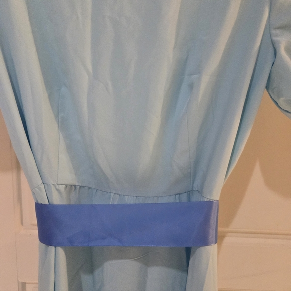 Wendy Dress Costume - Picture 3 of 8